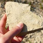 Ice Age! – Erlebe die Steinzeit